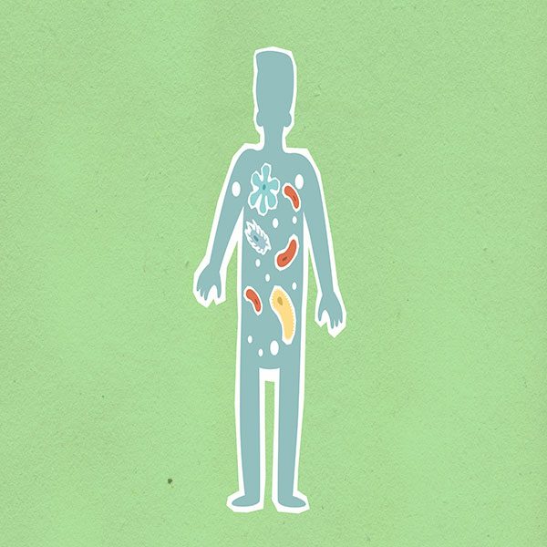 Microbio eres y en bacterias te convertirás