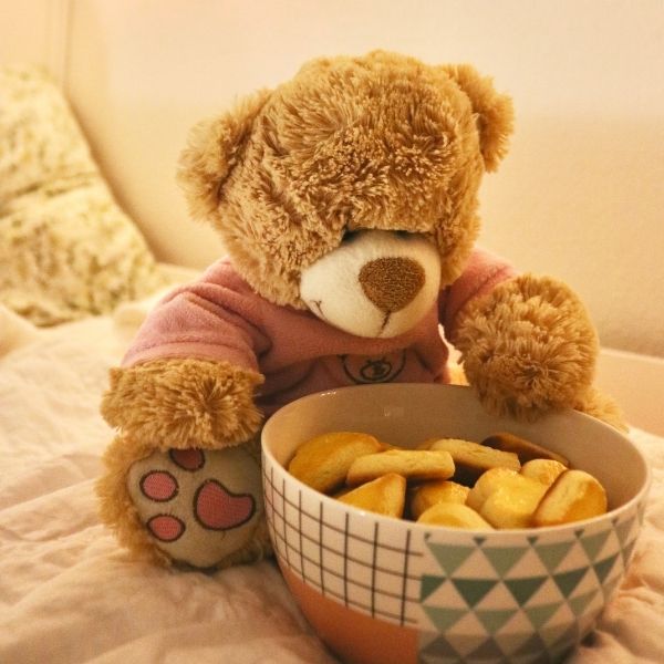 El osito Teddy