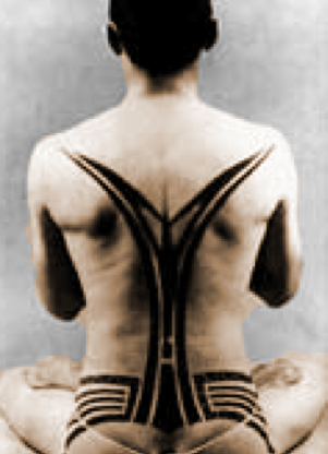 ImagenArticulo2
