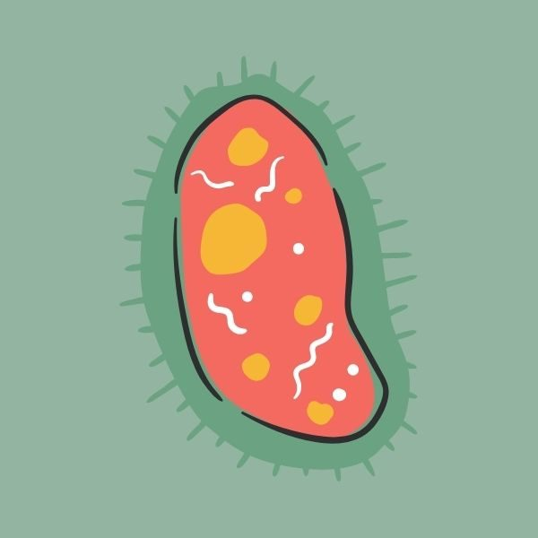 Las bacterias más letales