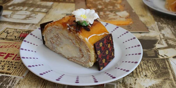 s42-gastrofilo-brazo-de-novia