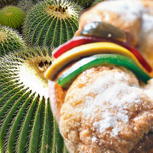 Acitrón, de un fandango: Dulce de Reyes con protección especial