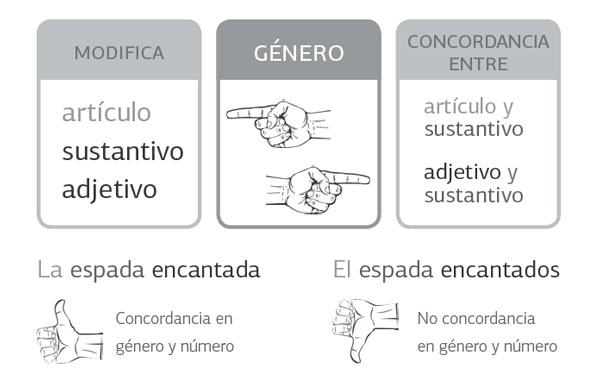 s20-lengua-1-tabla-de-genero