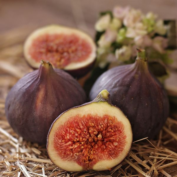 Conoce los mejores aperitivos y entradas frescas usando una variedad de frutas