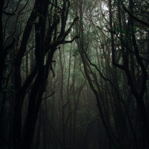 El horror sobrenatural en la literatura