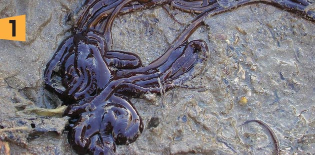 s27-top-1