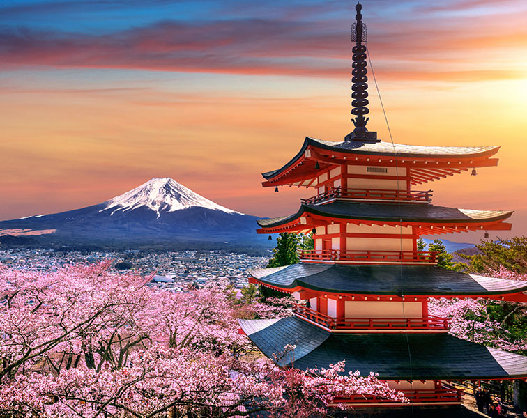 Mito: en Japón no hay ejército