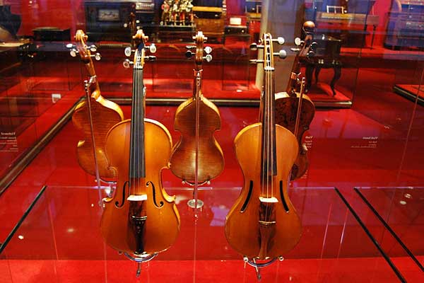 violin