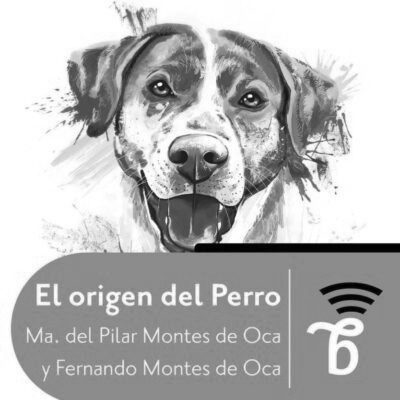 El Origen del perro