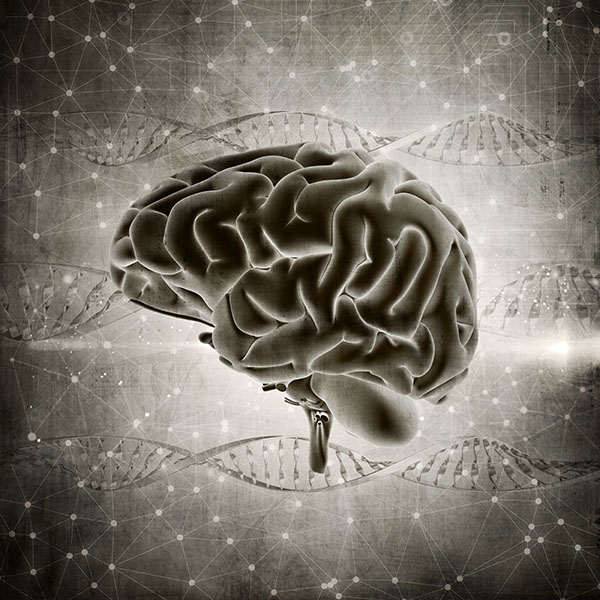 Mito: El iq determina cuán inteligente eres